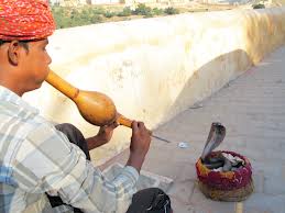 Image of a Cobra Dancing with the Flute Cobra Dancing with the Flute Image