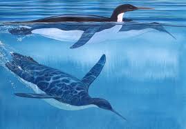Image of Two Penguins Swimming Two Penguins Swimming Image