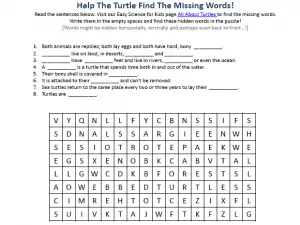 Turtles Worksheet - Download FREE Printable Science Reading